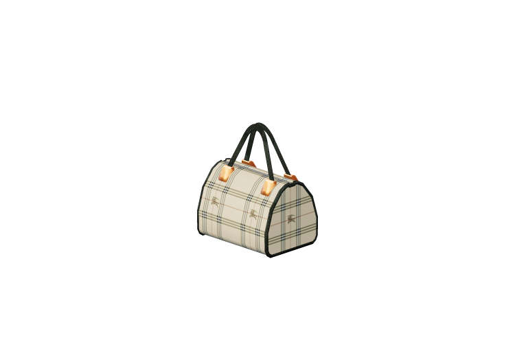 Modelli 3D - Borsa da donna - ACCA software Modelli 3D - Borsa da donna - ACCA software