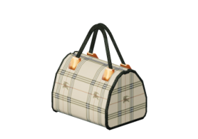 3D Models - Woman's Handbag
