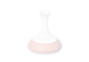 Modelli 3D - Decanter