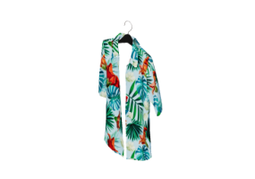 3D Modelle - Hawaiihemd