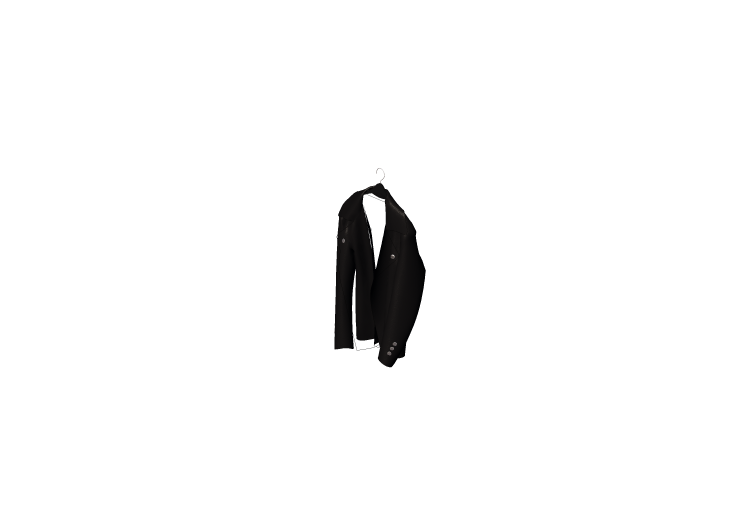 3D Modelle - Lederjacke - ACCA software 3D Modelle - Lederjacke - ACCA software