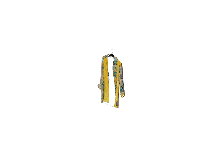 Modelli 3D - Camicia Van Gogh - ACCA software Modelli 3D - Camicia Van Gogh - ACCA software