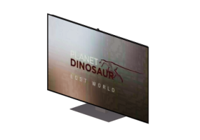 3D TV und Monitor - TV Samsung 65'' F9000
