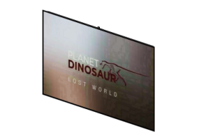 3D TV und Monitor - TV Samsung 65'' F9000