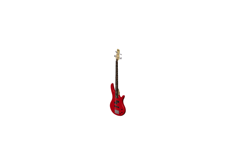 Instrumentos Musicales 3D - Bajo eléctrico - ACCA software Instrumentos Musicales 3D - Bajo eléctrico - ACCA software