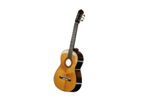 Instruments Musicaux - Guitare classique
