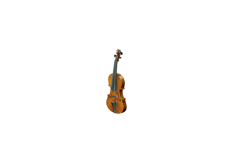 Strumenti Musicali - Violoncello - ACCA software Strumenti Musicali - Violoncello - ACCA software