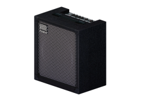 Strumenti Musicali - Roland Cube 60