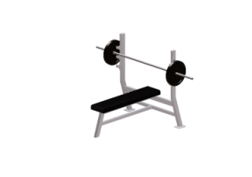 Fitness 3D - Banco llano