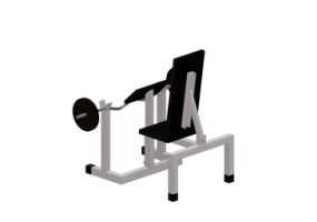 Fitness 3D - Banca scott