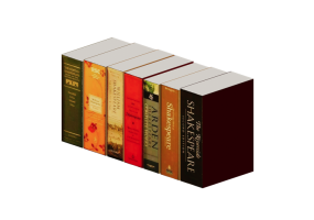 Books and Magazines 3D - Books