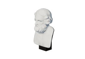 Sculture 3D - Busto di Omero