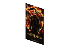 Impressions 3D - Poster Hunger Games
