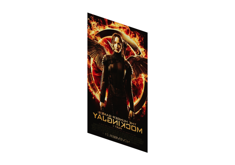 Impressions 3D - Poster Hunger Games - ACCA software Impressions 3D - Poster Hunger Games - ACCA software