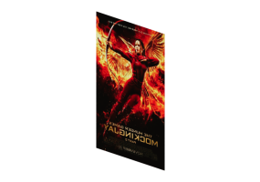 Impressions 3D - Poster Hunger Games