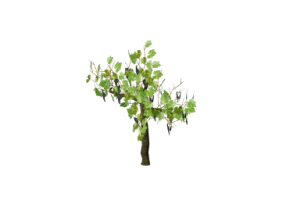 &Aacute;rboles 3D - Tornillo