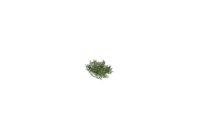 Buissons 3D - Buisson - ACCA software Buissons 3D - Buisson - ACCA software