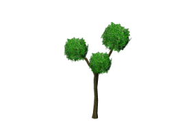 Plantes 3D - Buxus sphère