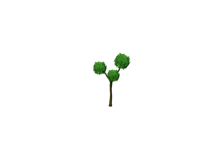 Plantes 3D - Buxus sphère - ACCA software Plantes 3D - Buxus sphère - ACCA software