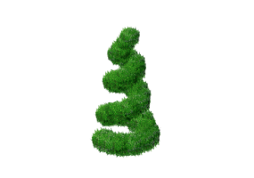 3D Flowers - Buxus Spiral