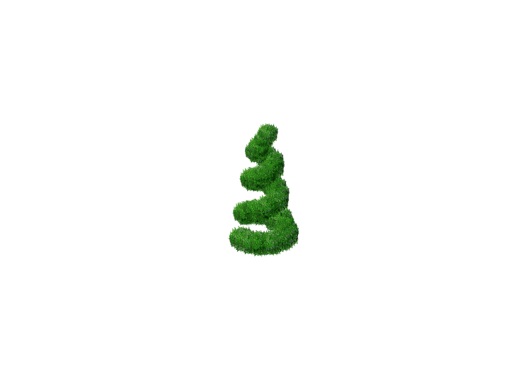 Piante 3D - Buxus spirale - ACCA software Piante 3D - Buxus spirale - ACCA software