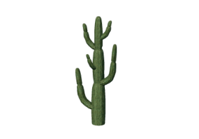 3D Flowers - Giant saguaro