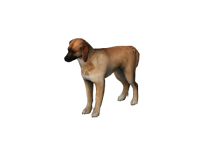 Personas 3D - Oscar